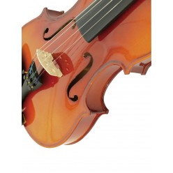 DIMAVERY Violin 4/4 with bow in case